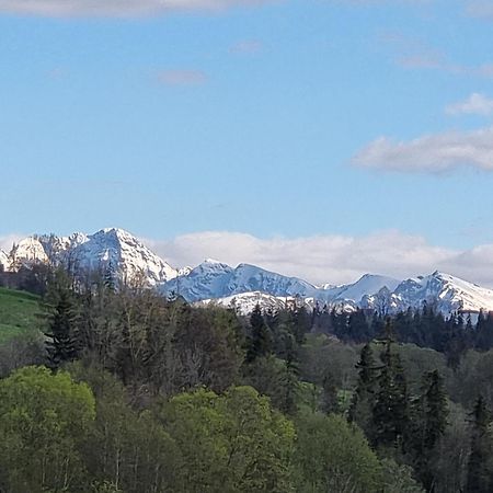 Domki U Jacka Sauna Bilard Tenis Air Hockey Pilkarzyki Bawialnia Plac Zabaw Zakopane Extérieur photo